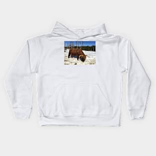 Scottish Highland Cattle Bull 1736 Kids Hoodie